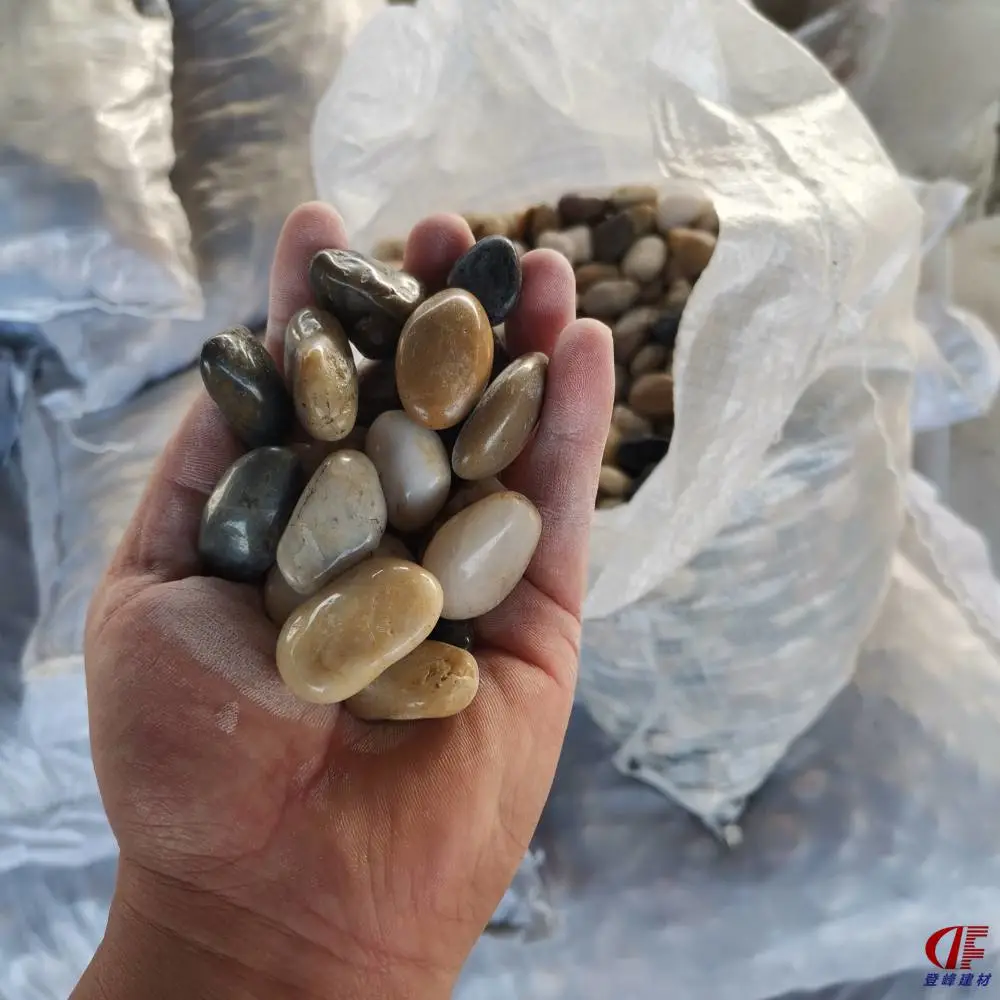 园林造景混色雨花石 黑色抛光上蜡卵石 白色鹅卵石鱼缸造景