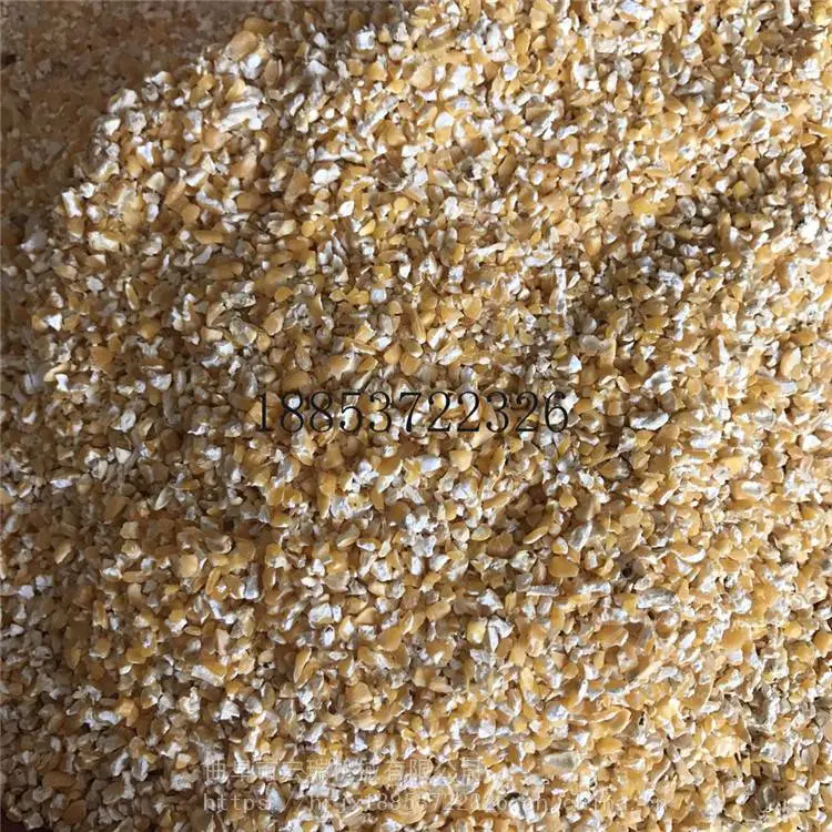 泰安电动高粱花生挤扁机厂家油脂类物料粉碎机 花生压碎机