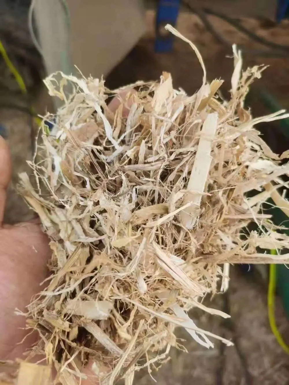 玉米秸秆干草 揉丝粉碎小包装 牛羊干草秸秆 牛羊草料干玉米秸 马牛羊驴鹿干牧草饲料