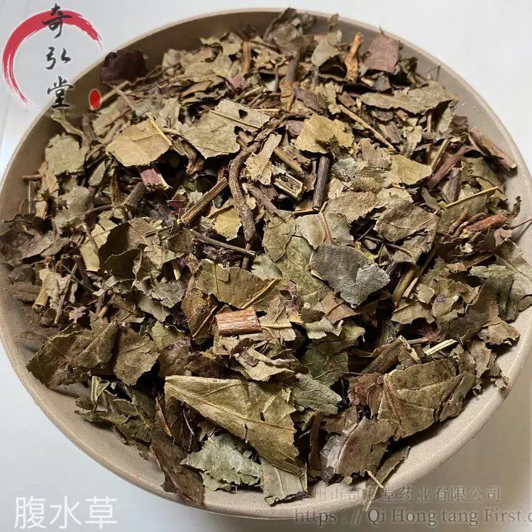 供应中药材腹水草