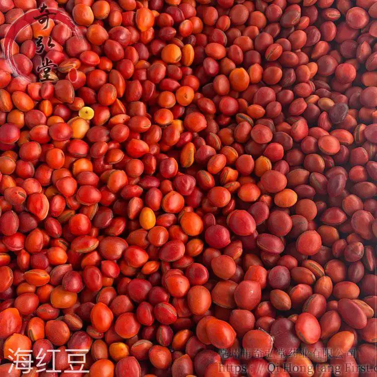 中药材海红豆-海红豆的用法及用量