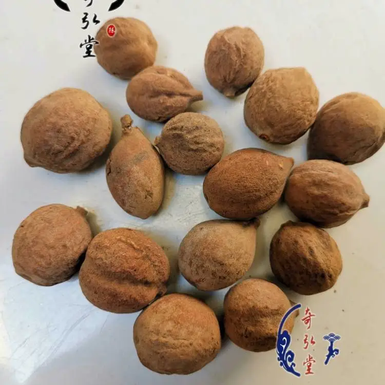 毛诃子的效果 毛诃子主治功能