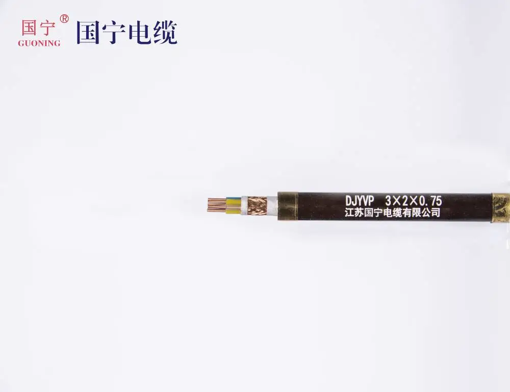 DJYVP 300/500V 3x2x0.75 国宁 计算机屏蔽电缆