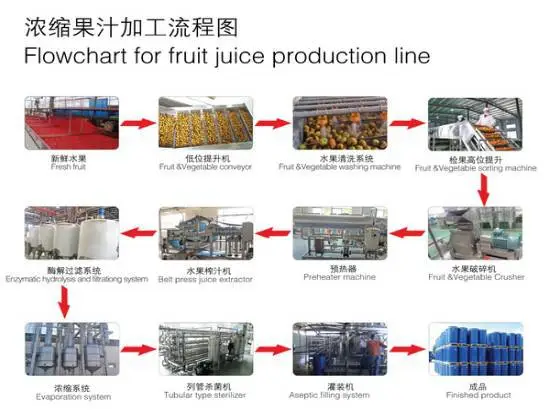 新果汁加工流程