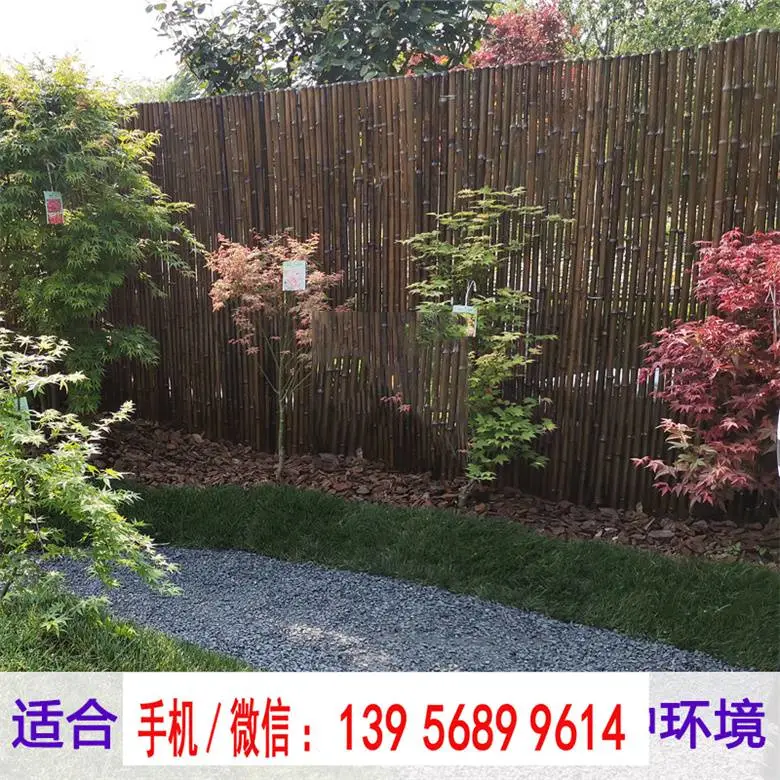 崇左市 竹篱笆 竹子护栏宁波市北仑仿竹栏杆仿竹护栏