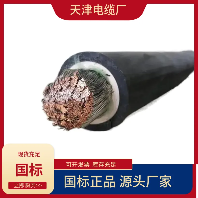 大对数低烟无卤阻燃通讯电缆WDZB-HYA-100*2*0.5