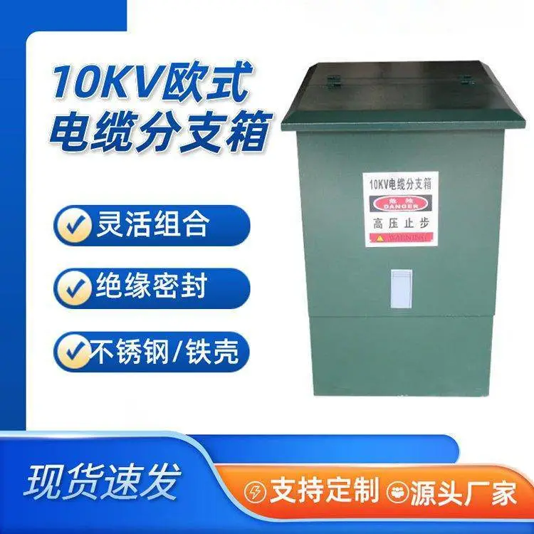 供应10KV高压电缆分支箱 DFW-12/630铁壳欧式分接箱一进一二三出