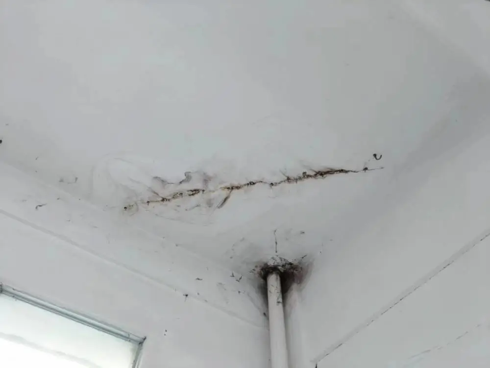 珠海屋顶防水补漏师傅电话露台防水维修多少钱