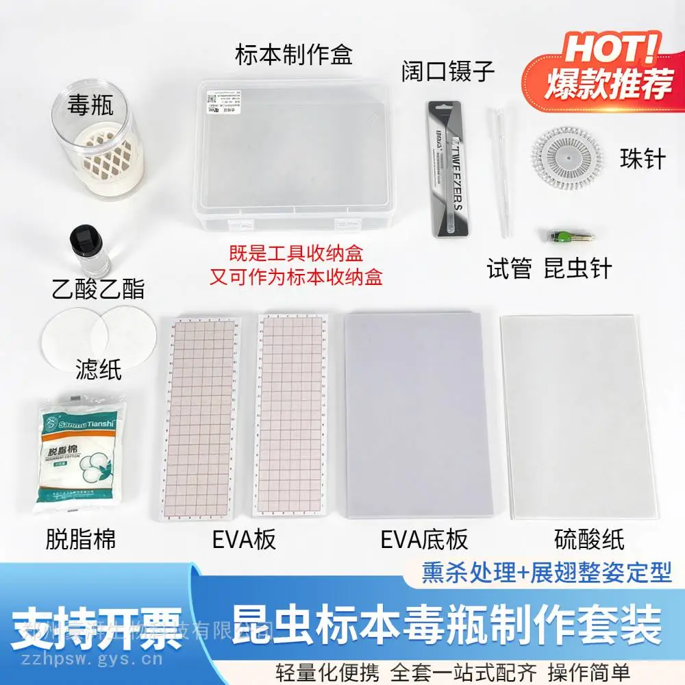 昆虫标本制作工具套装 蝴蝶展翅板毒瓶 科普生物实验入门全套器材
