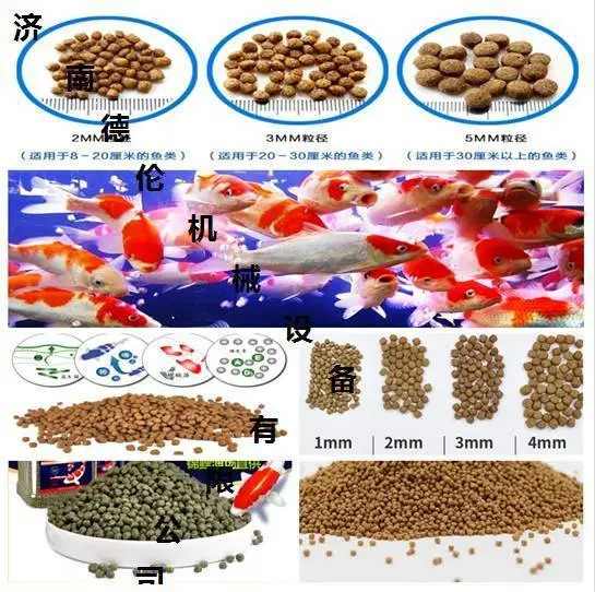 双螺杆膨化观赏虾水产饲料机械