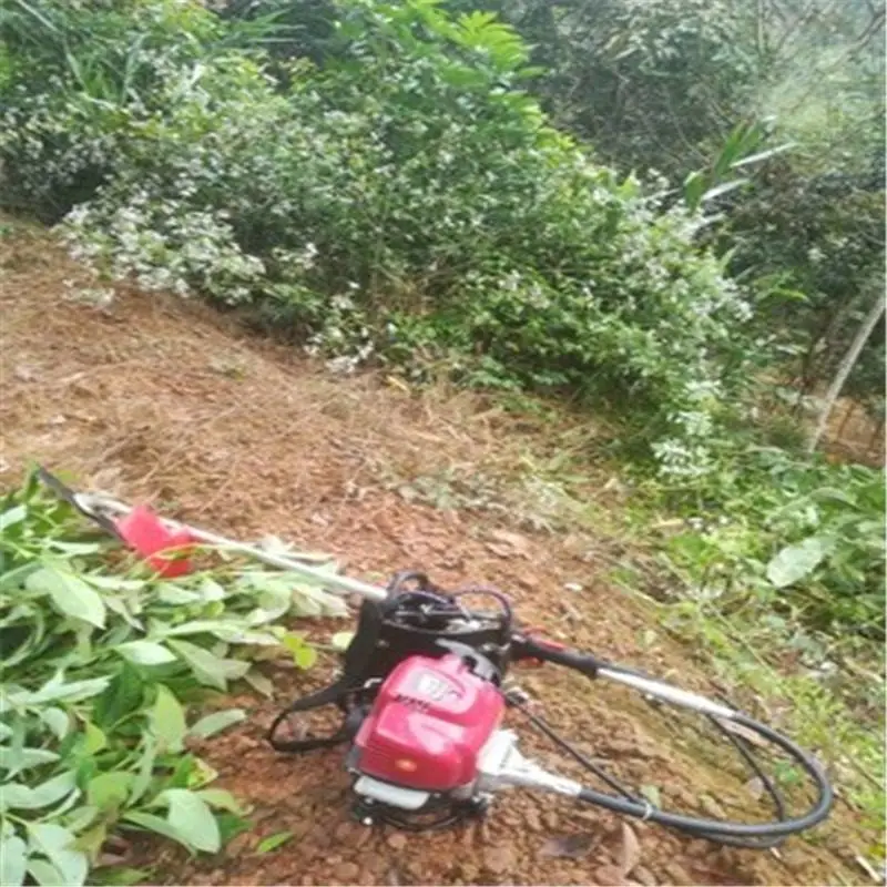 ���綯���������� �߲˴������������ ��������������
