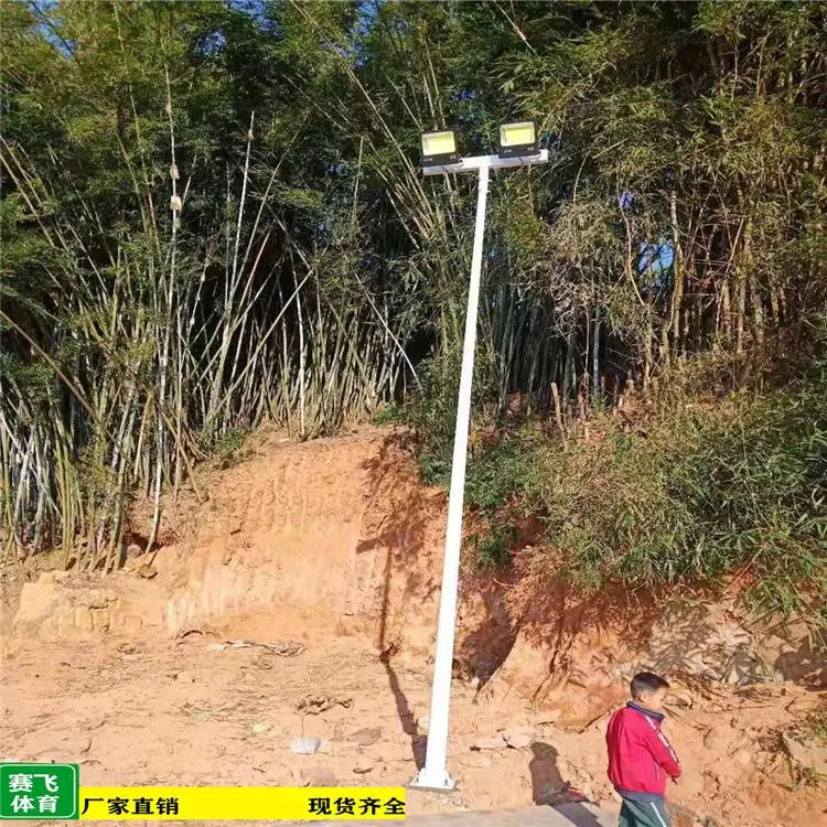 SY柳州三江灯杆5米6米7米8米丨报价表道路灯杆