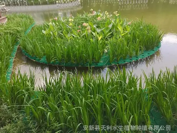 复合纤维浮动湿地,水体绿化植物浮岛,人工浮岛