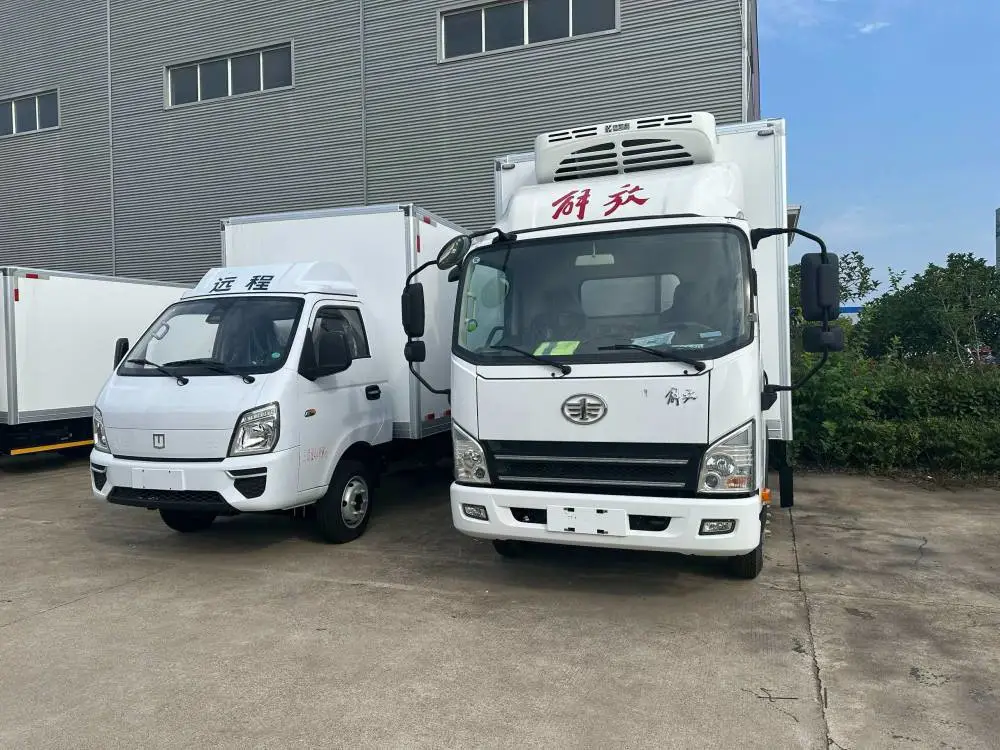 新能源冷冻车雪糕冷饮油耗低活鱼水产疫苗冷链车性能稳定全国供应