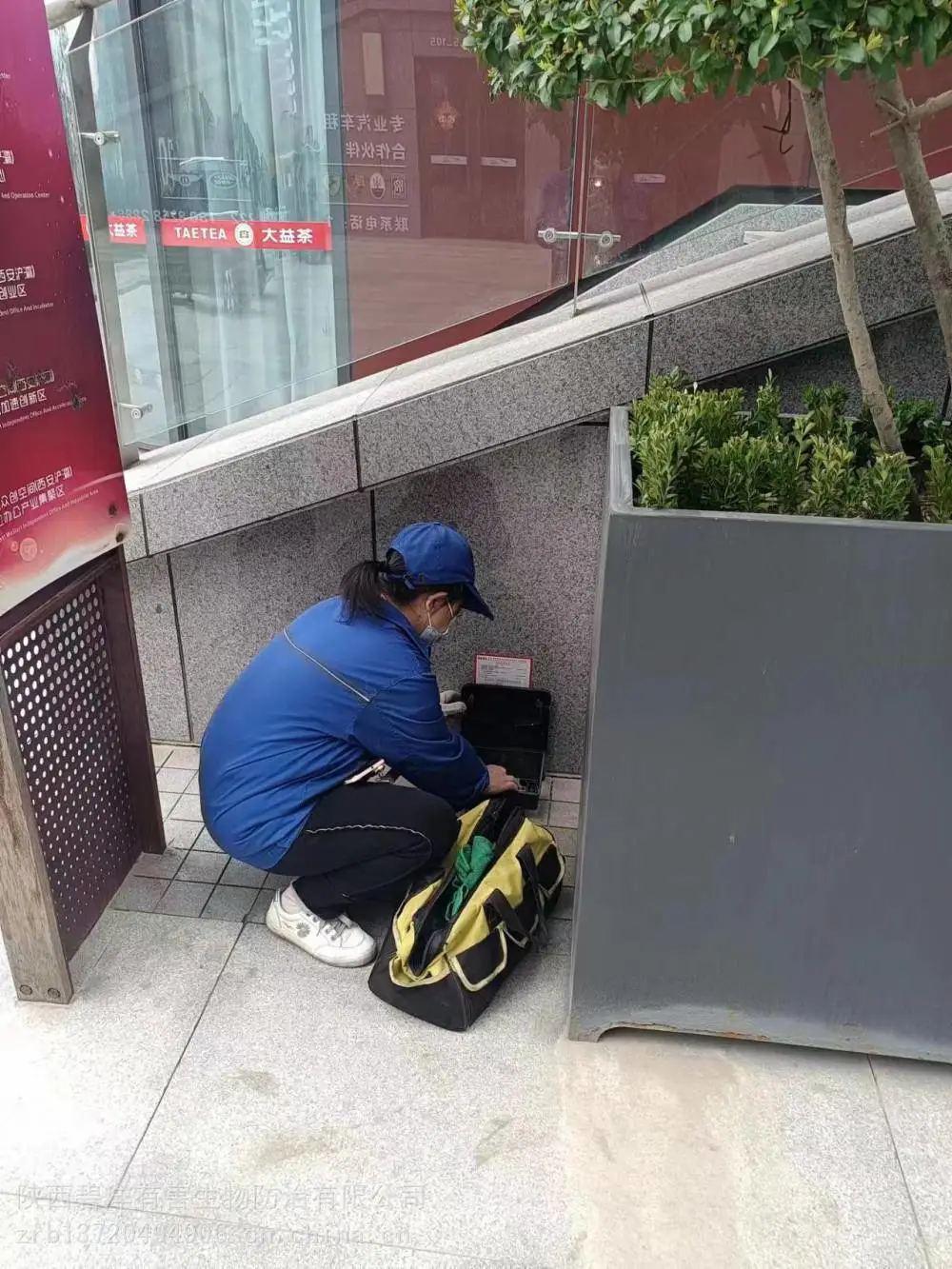 西安东郊灭鼠公司幼儿园灭老鼠家庭杀蟑螂服务周到