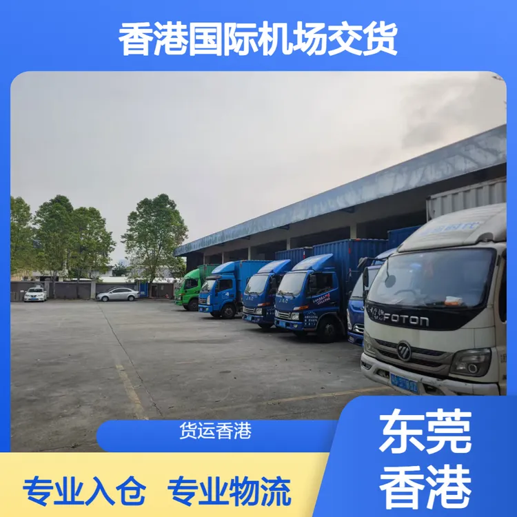 东莞望牛墩出货到香港机场赤腊角国际机场入仓 专线物流专业入仓