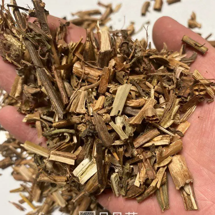 中药材月见草-月见草价格咨询报价