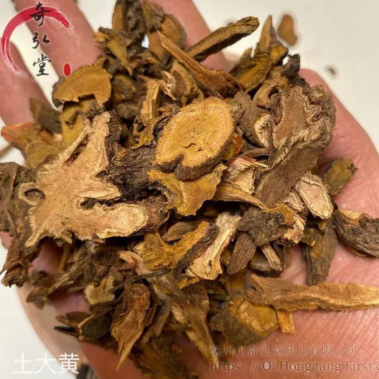 中药材土大黄批发经营