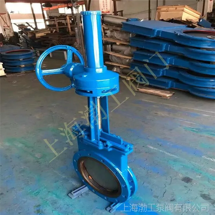 C304410E4A8B356BF4447D05EACA51