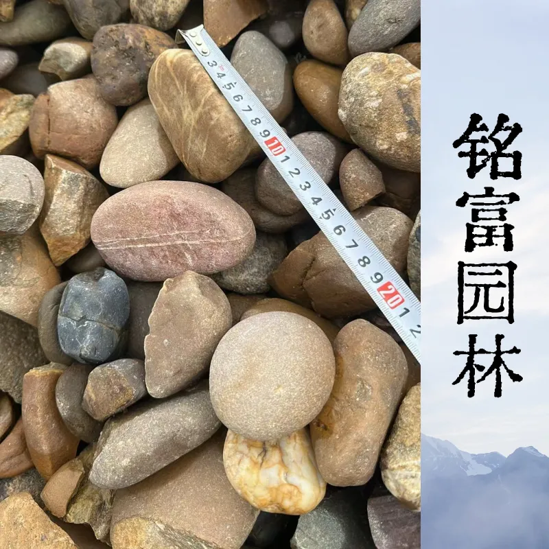 7月后很多变电站厂需要5-8公分鹅卵石，标准的鹅卵石厂家在 哪 里