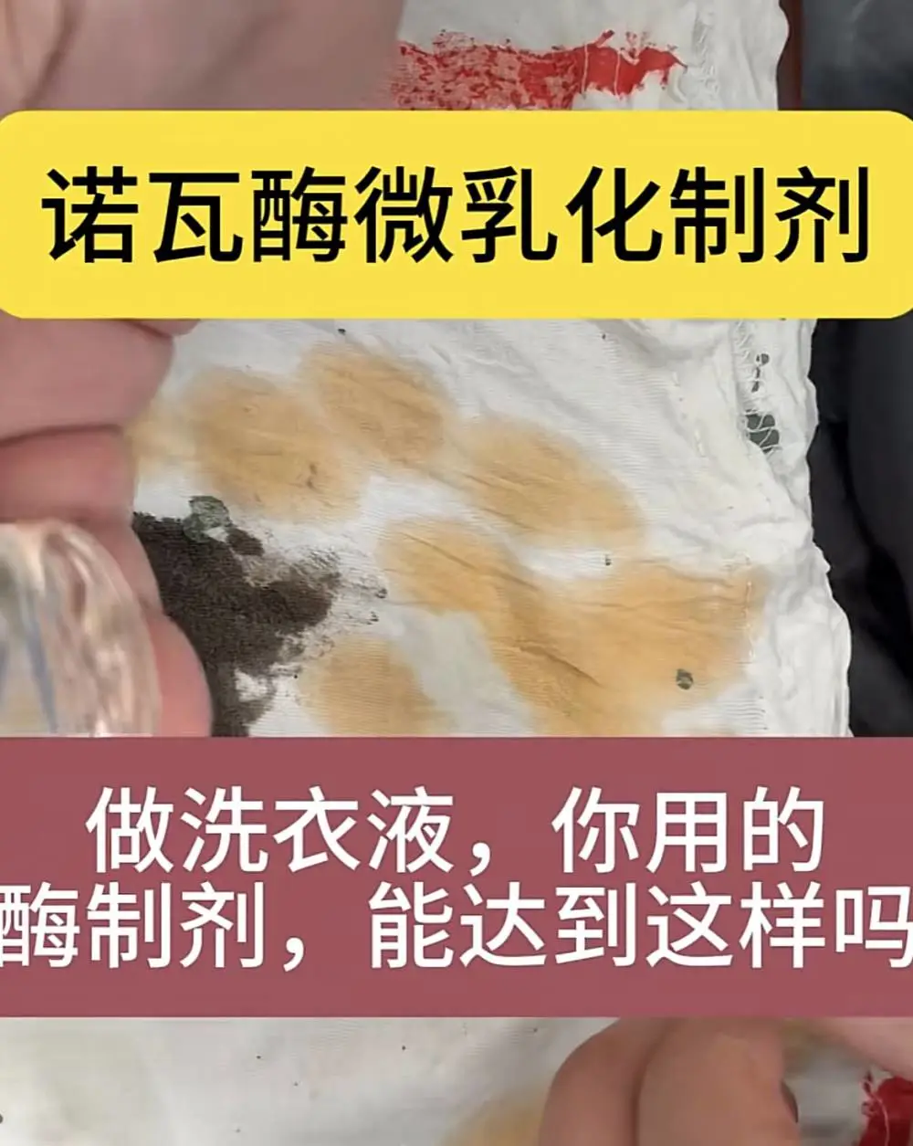 诺瓦酶复合洗涤酶制剂 低温***去油 洗衣液配方核心原料 降本增效