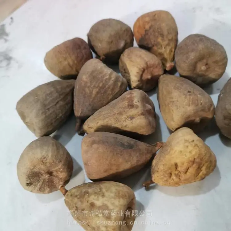 奶母果产地批发/奶母果吃