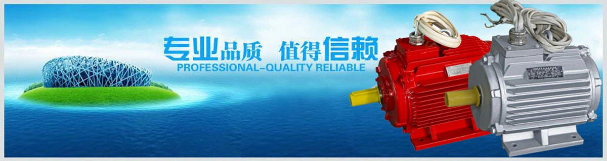江苏友华电机有限公司