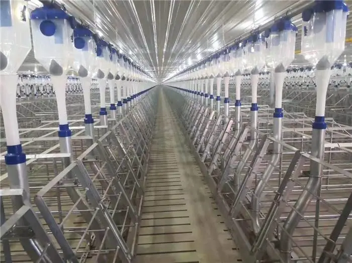 养殖设备塞盘料线优点与使用说明