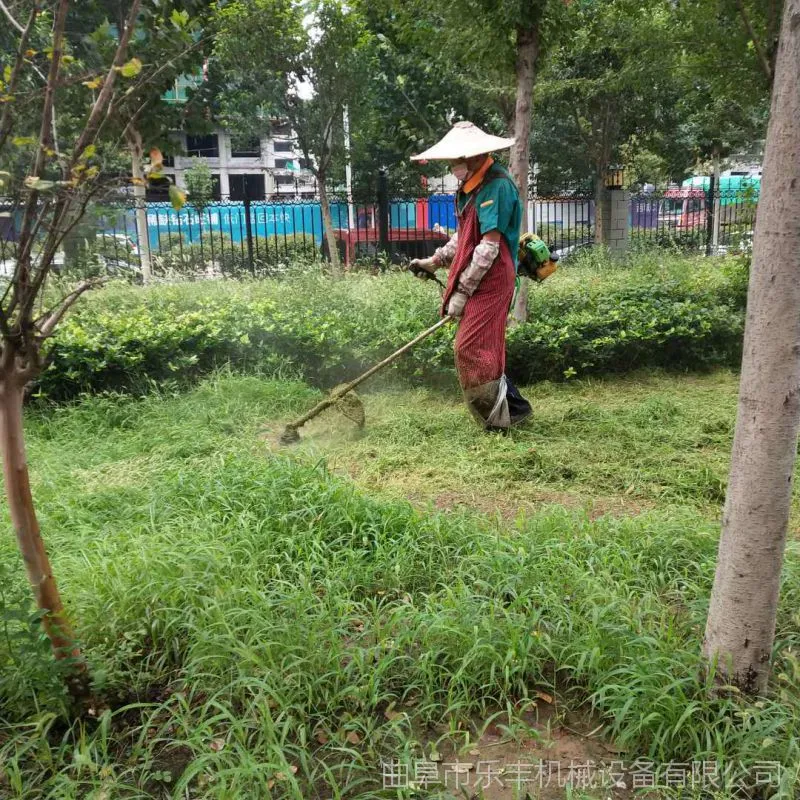 微信图片_20180901121536.jpg