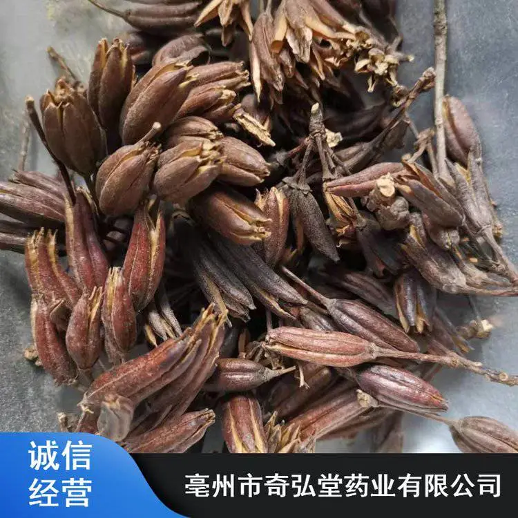 奇弘堂中药六轴子_亳州市干货六轴子_药用天芝麻
