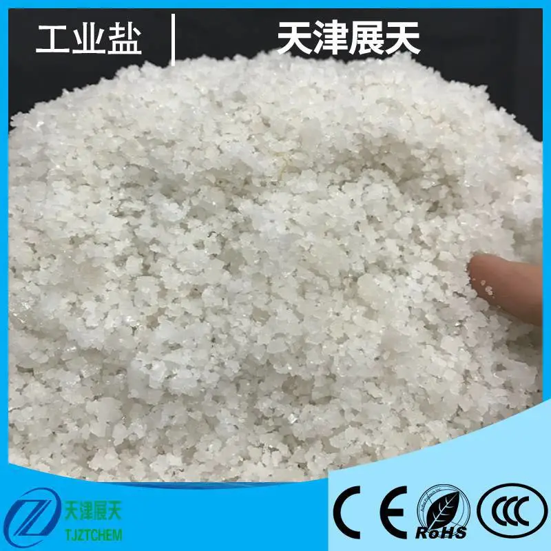 化学工业之母 氯化钠 大颗粒盐 精制工业盐 易溶于水