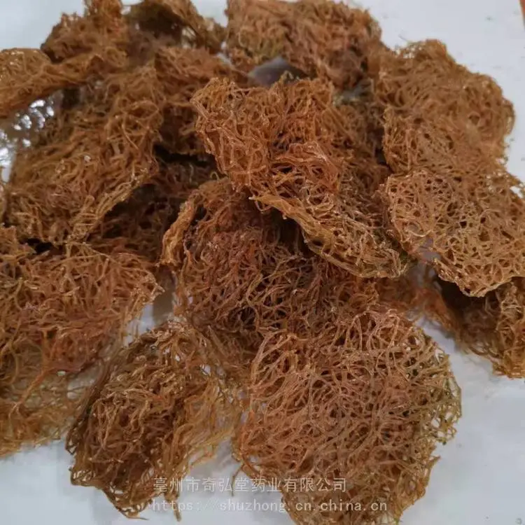 奇弘堂海粉/海粉吃