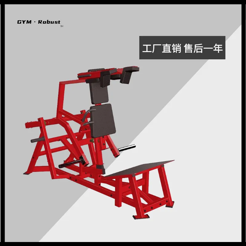 健身房器材 拉背器械 免维护力量器械生产厂商