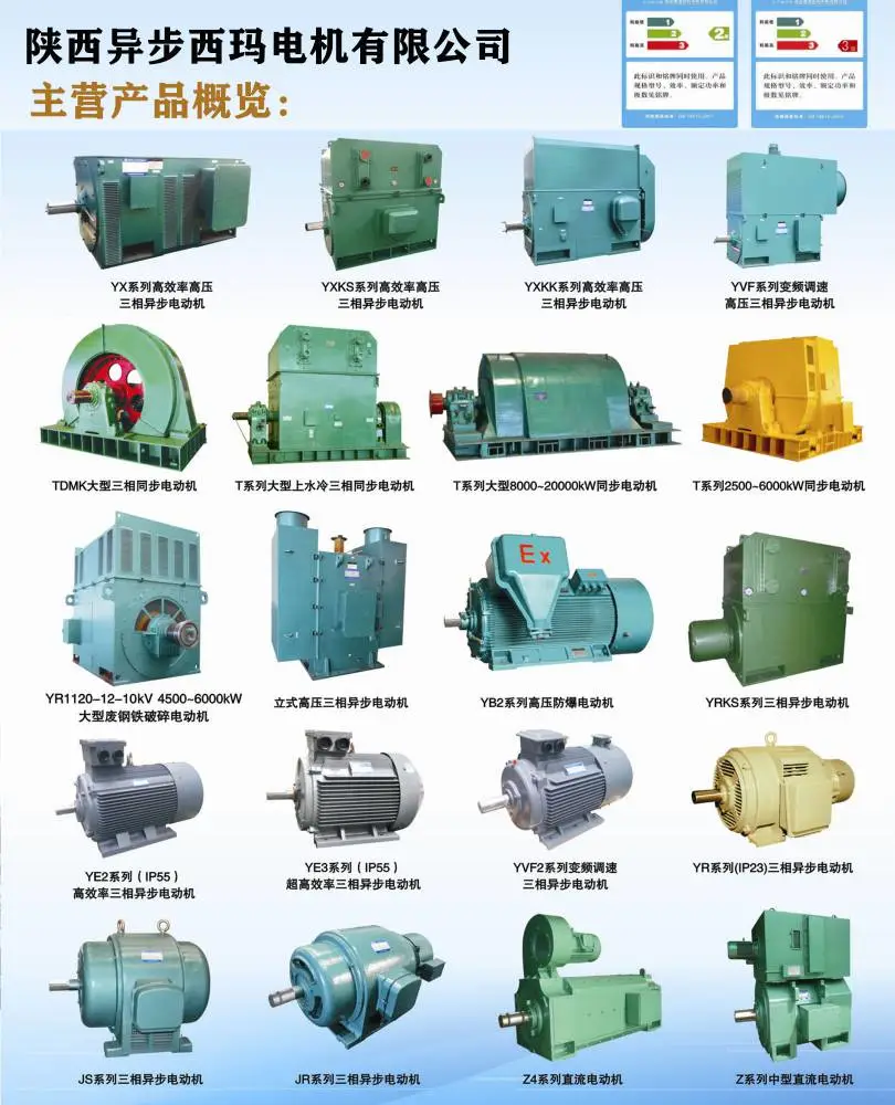 西安泰富西玛电机样本Y5002-10/250KW/10KV高压电机发展前景***