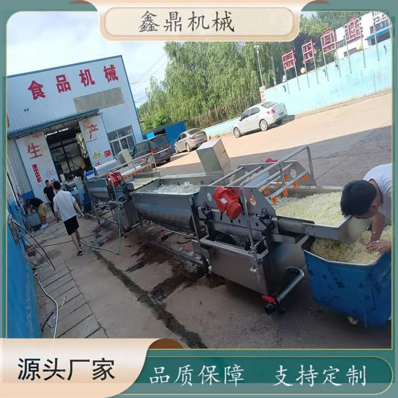 自动化中央厨房设备 菜篮子工程净菜加工流水线 鑫鼎供应