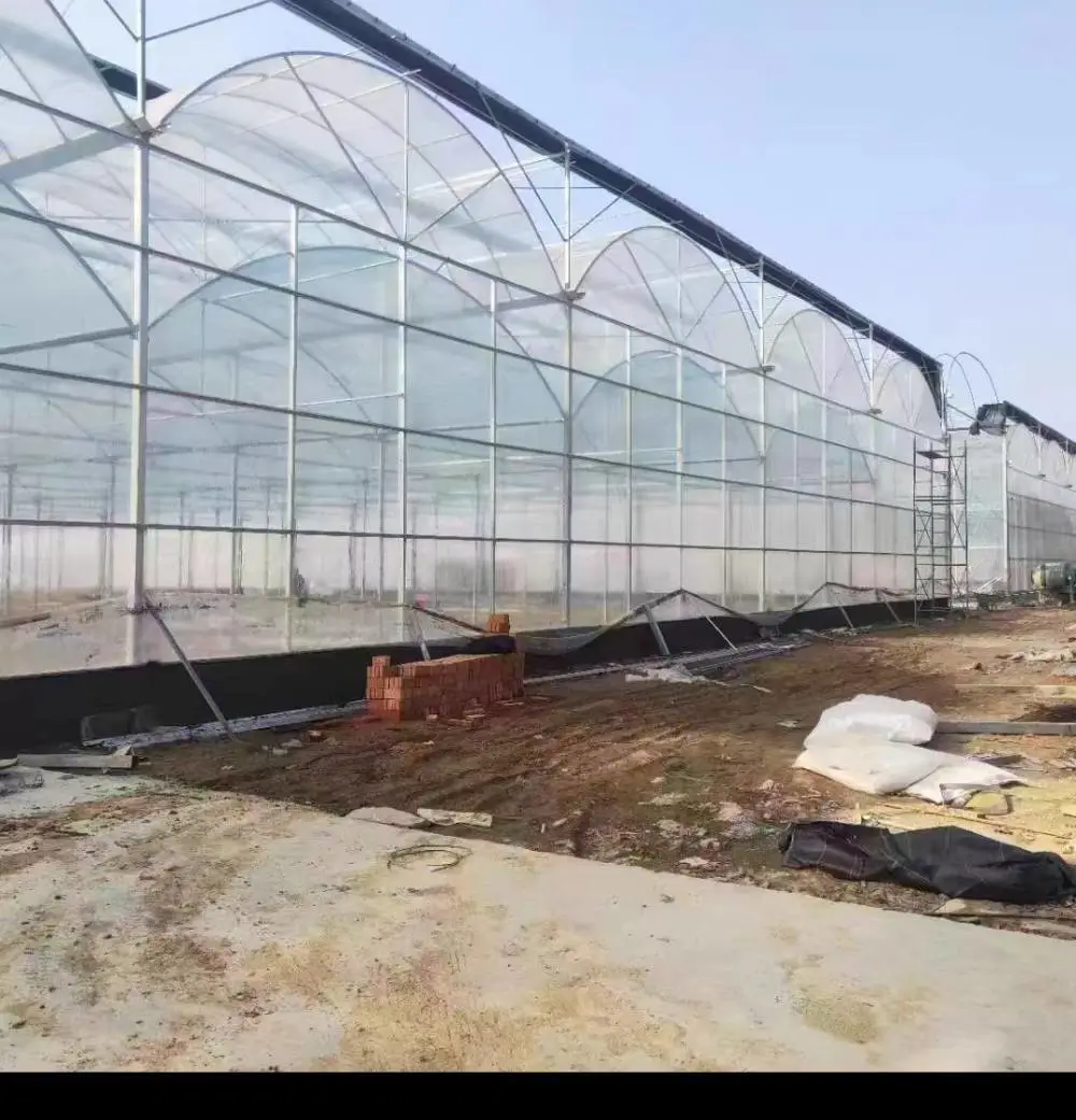 无锡大棚管 建设连体大棚地形要求 连栋大棚外遮阳内遮阴每亩价格连体大棚 玻璃温室大棚 养殖大棚农业种植大棚管