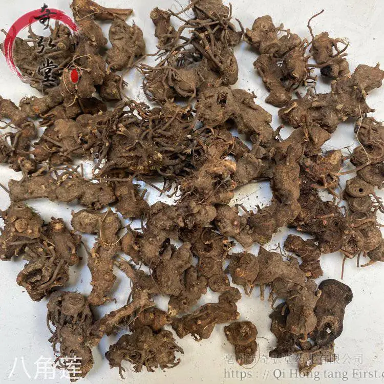 中药材八角莲-八角莲药材图片实物拍摄