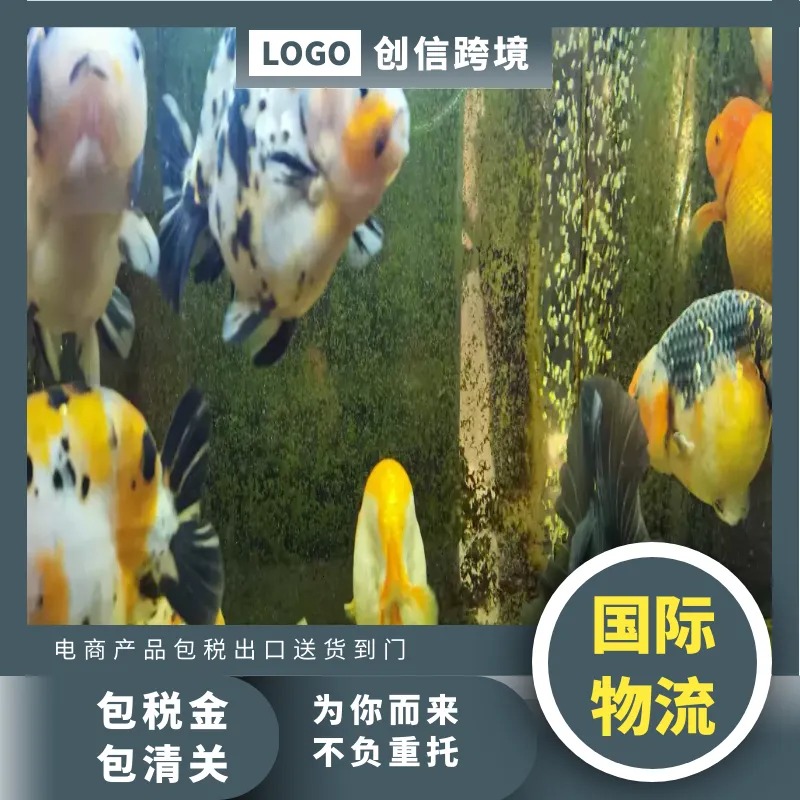 海运货代公司 万象空运 美国海运美国空运 新西兰快递