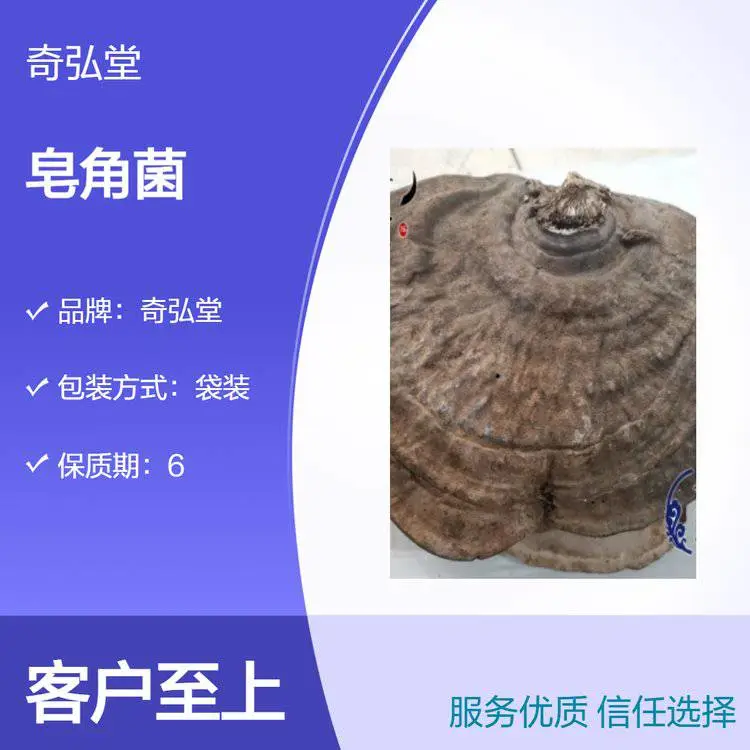 奇弘堂野生原药材皂角菌 袋装正品 药用范围广