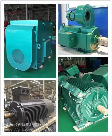 异步西玛电机YKS4506-8-315KW-6KV空水冷笼型转子异步电机(F级绝缘等级)