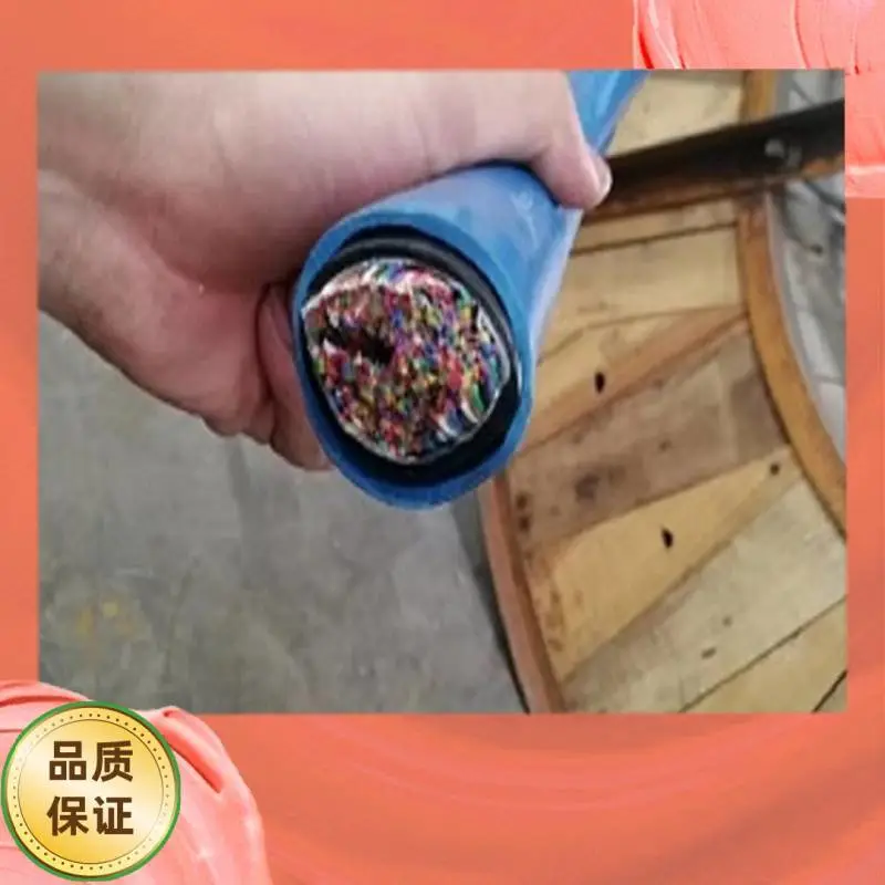 阻燃耐火计算机屏蔽电缆ZRANH-DJYVP2-2*2*0.75