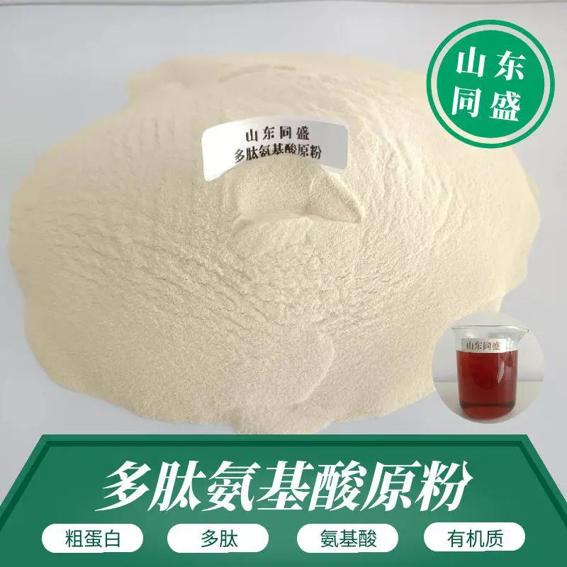 多肽氨基酸原粉 同盛厂家供应 粗蛋白90多肽75氨基酸70 全水溶无异味