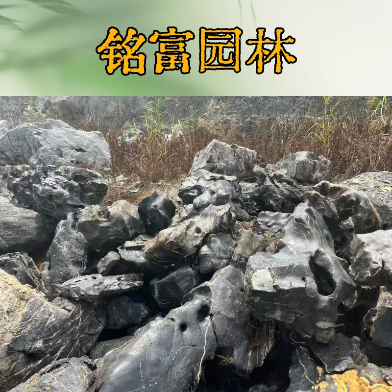 点缀的黑太 湖石图片，点缀带孔的黑太 湖石您们城市有吗