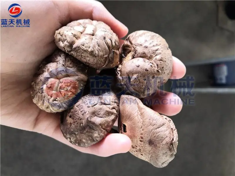 小型香菇烘干机 小型香菇烘干房的价格报价 农村小型蘑菇烘干机价格 厚菇烘干机设备价格