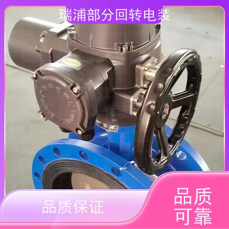 瑞浦部分回转DQW60智能一体化DQW90电动装置开关型电动装置