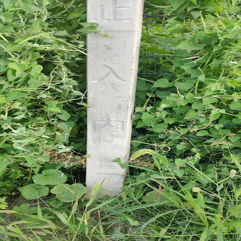 新疆混凝土防碳化涂料卓能达工厂直营防紫外线