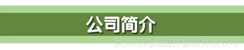 公司简介.jpg