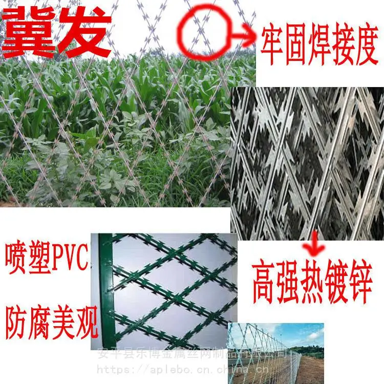 长春镀锌刀片刺绳生产厂家@直径30镀锌刀片刺绳乐博供应批发