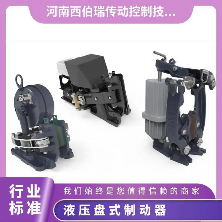 金箍临瑞 SKD100 盘式制动器 起重机械 订做来图