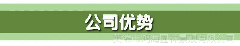 公司优势.jpg